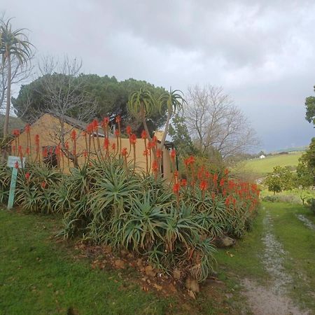 Swaynekloof Farm Vila Botrivier Exterior foto